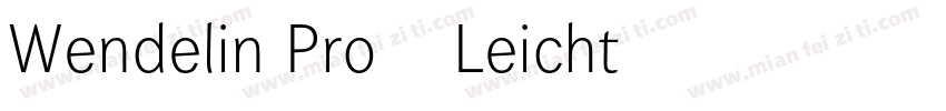 Wendelin Pro 45 Leicht字体转换
